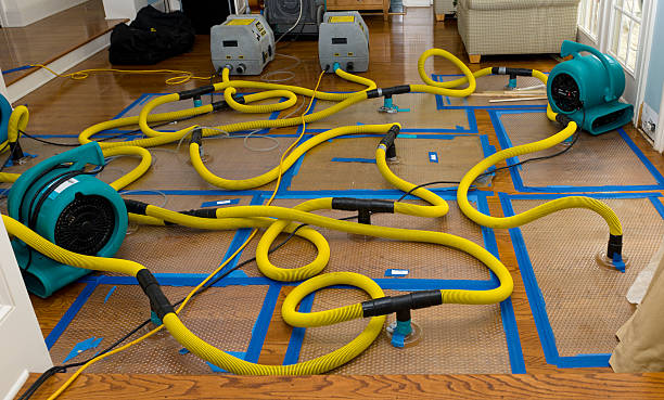 Professional Burst Pipe Water Damage technician working in Sherwood, OR